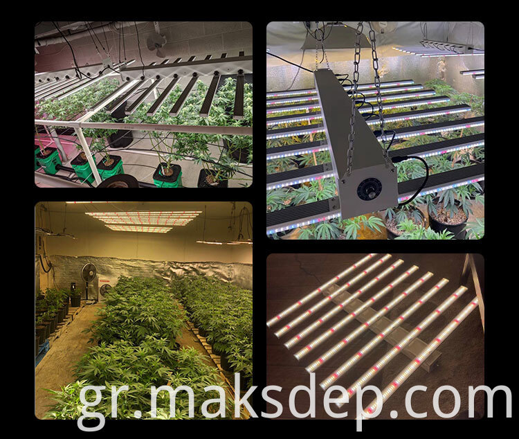 MAKSDEP 600w grow light